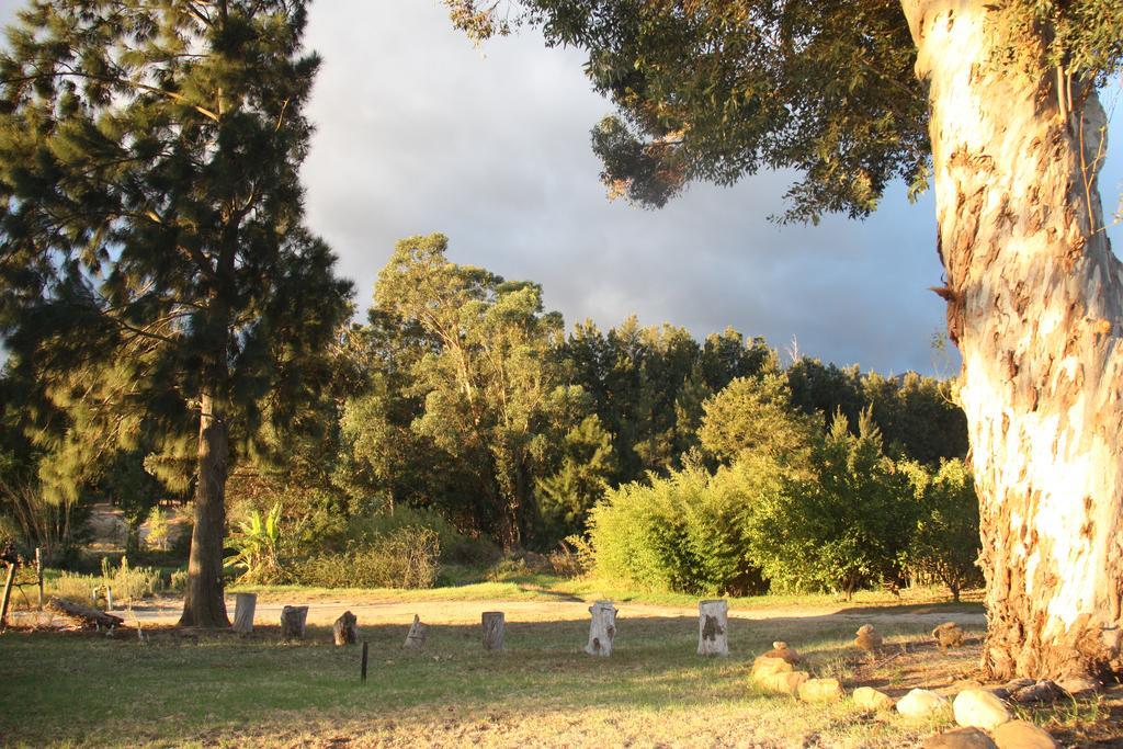 Penzion Calais Wine Estate Paarl Exteriér fotografie