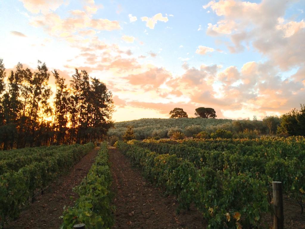 Penzion Calais Wine Estate Paarl Exteriér fotografie